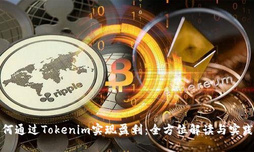: 如何通过Tokenim实现盈利：全方位解读与实践指南