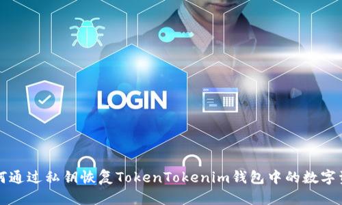 如何通过私钥恢复TokenTokenim钱包中的数字资产