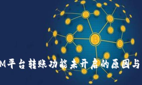  TokenIM平台转账功能未开启的原因与解决方案