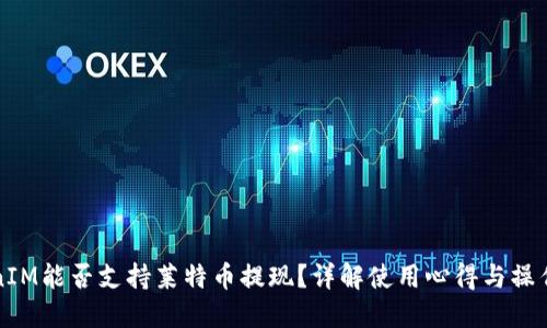 TokenIM能否支持莱特币提现？详解使用心得与操作指南