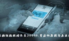 比特币区块链数据增长至300GB：背后的原因与未来