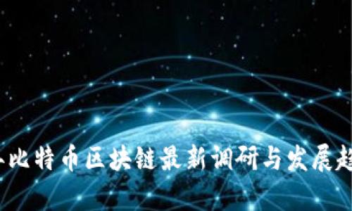 2023年比特币区块链最新调研与发展趋势分析